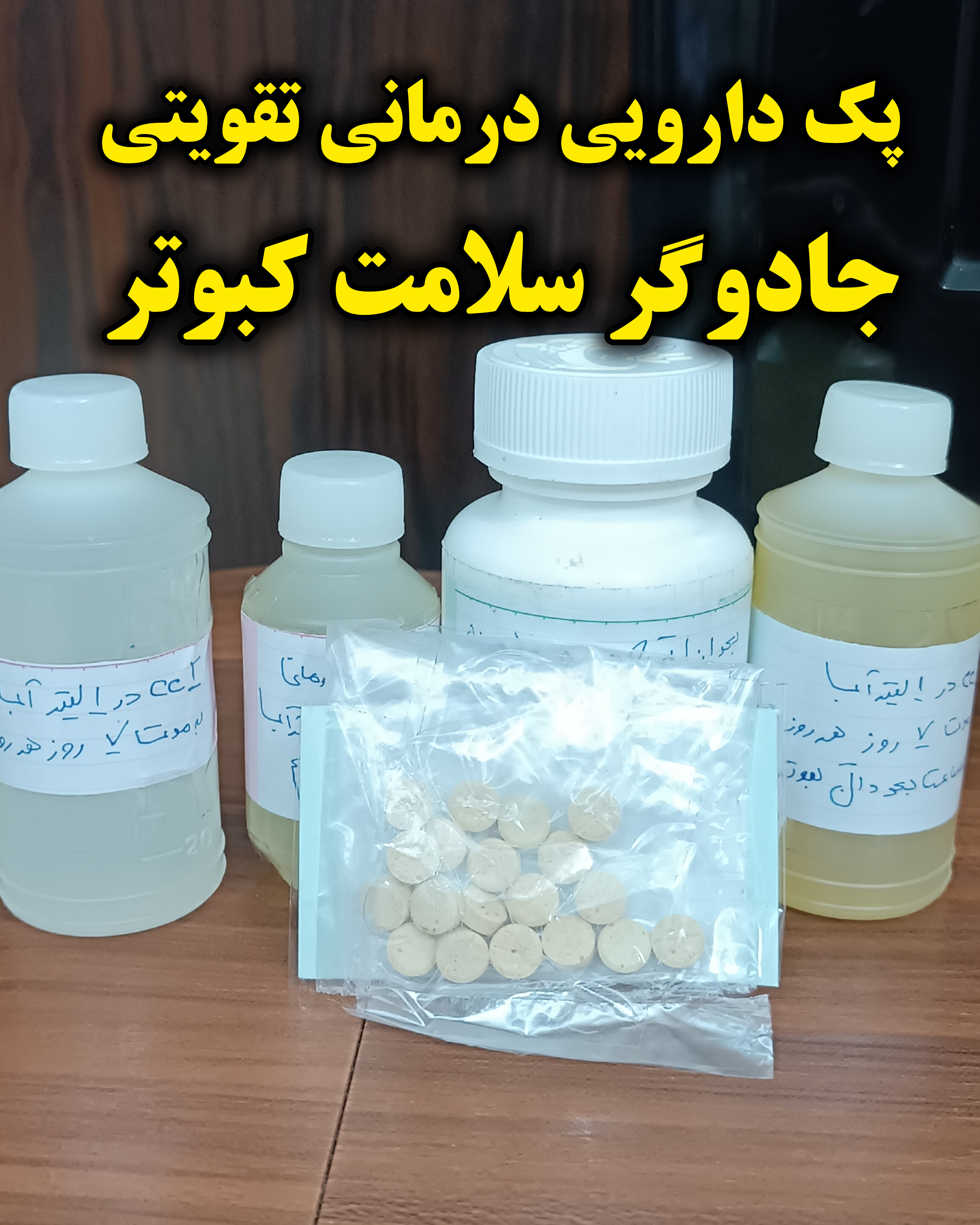 دنیای پرندگان