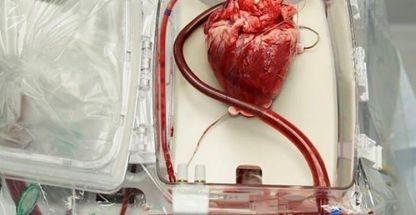 دکتر سیروس نوروزی