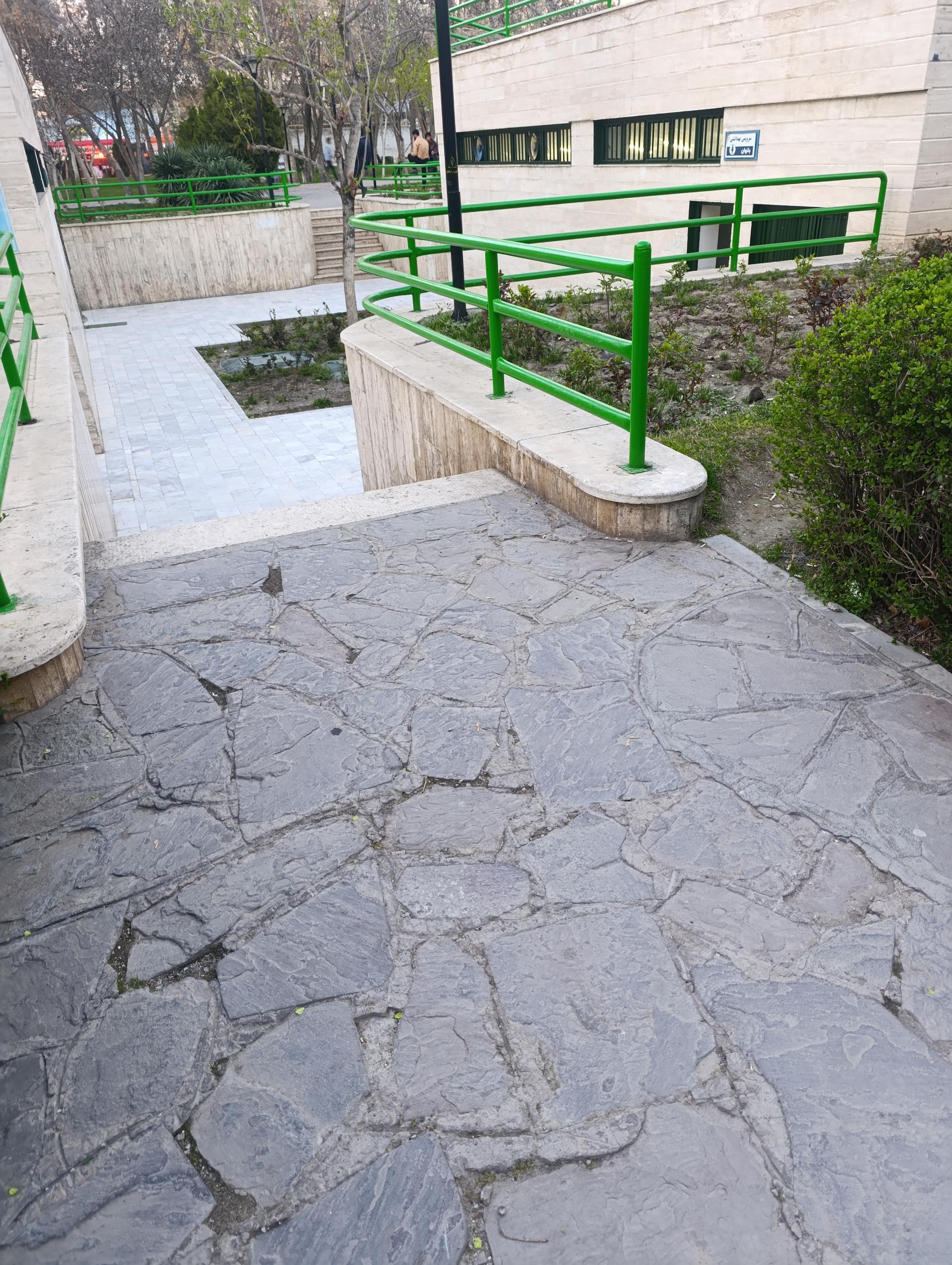 سرویس بهداشتی