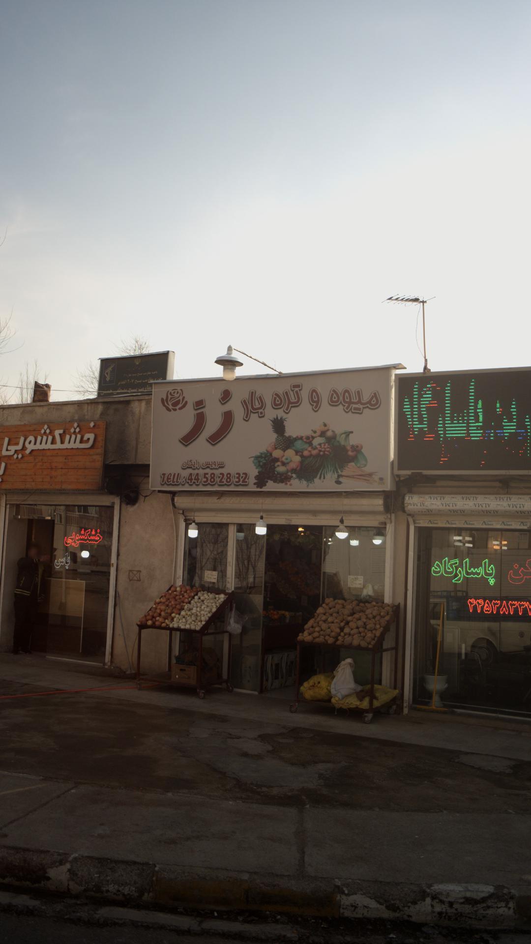 میوه وتره بار رز