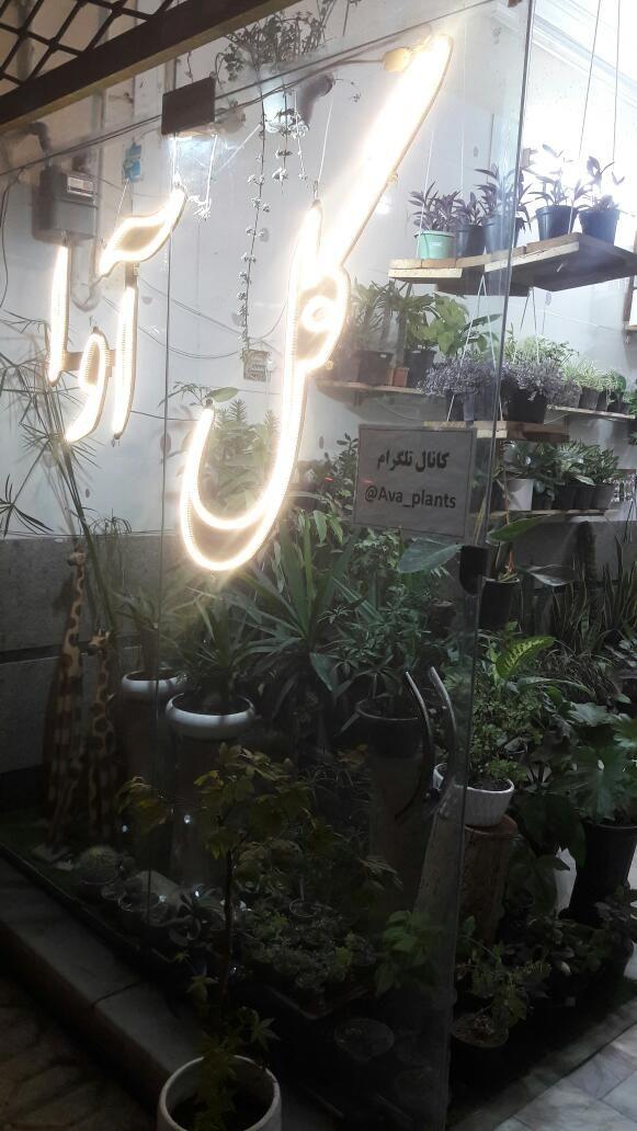 گل فروشی آوا