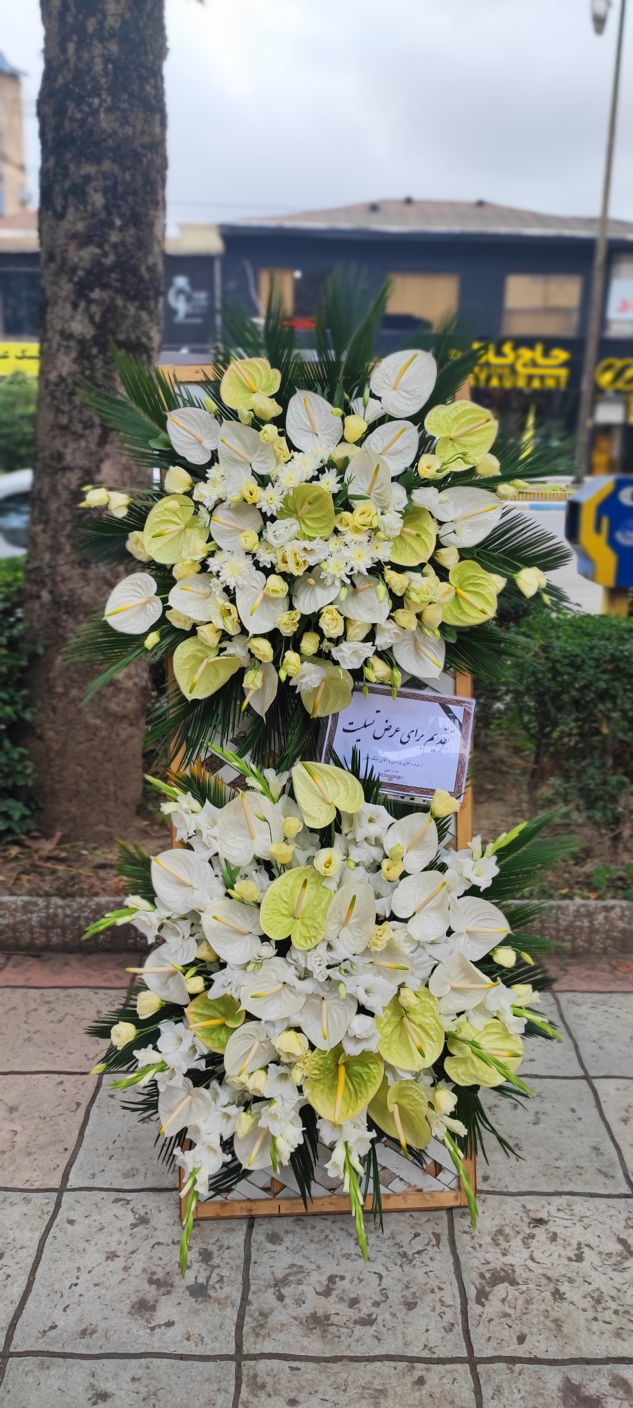 گلفروشی گل گندم آمل