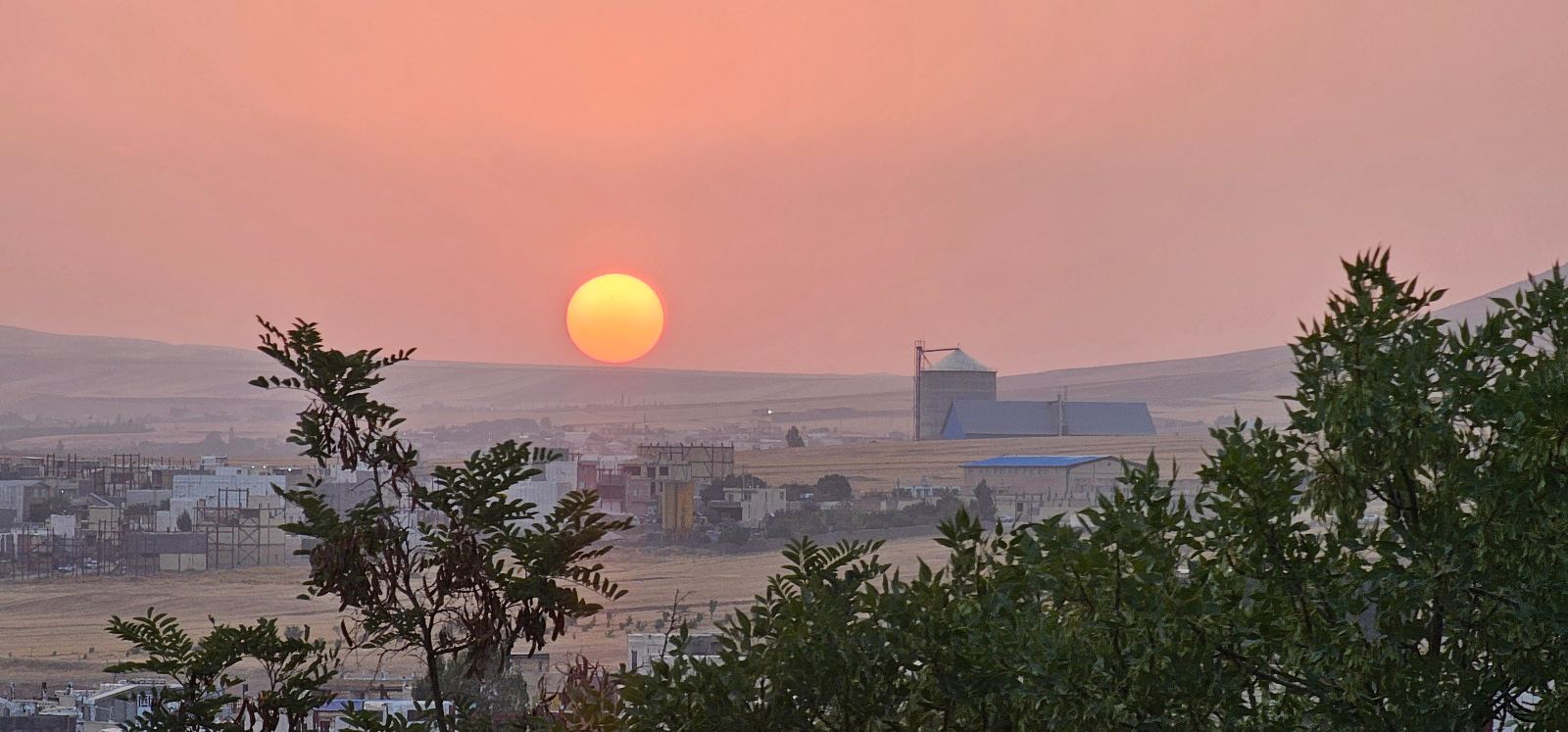 وکیل امیر حسین مرادی