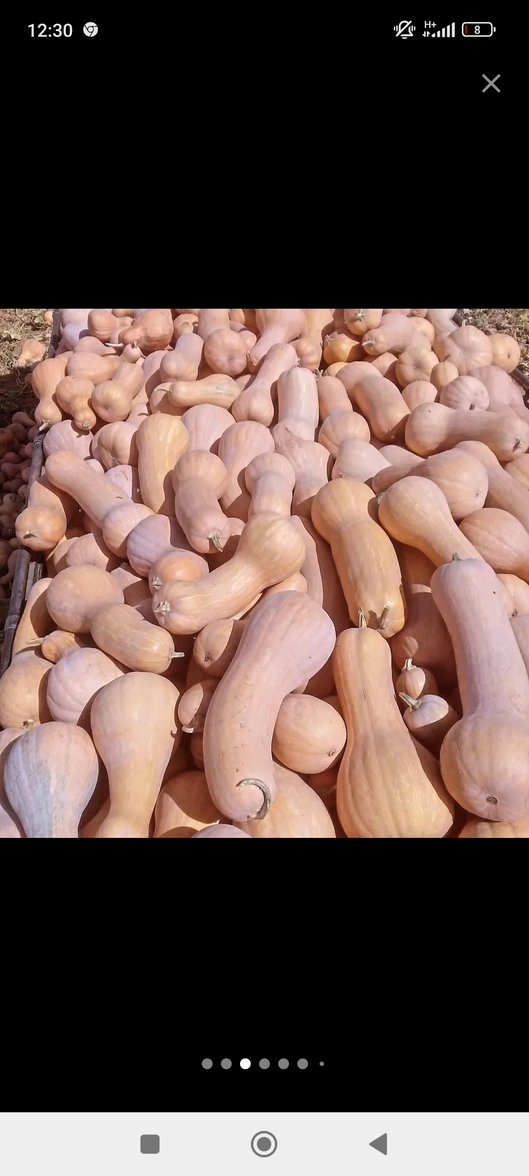 آبمیوه و بستنی محمود