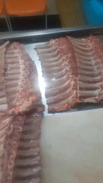 آذرکیوان پروتئینی کیش