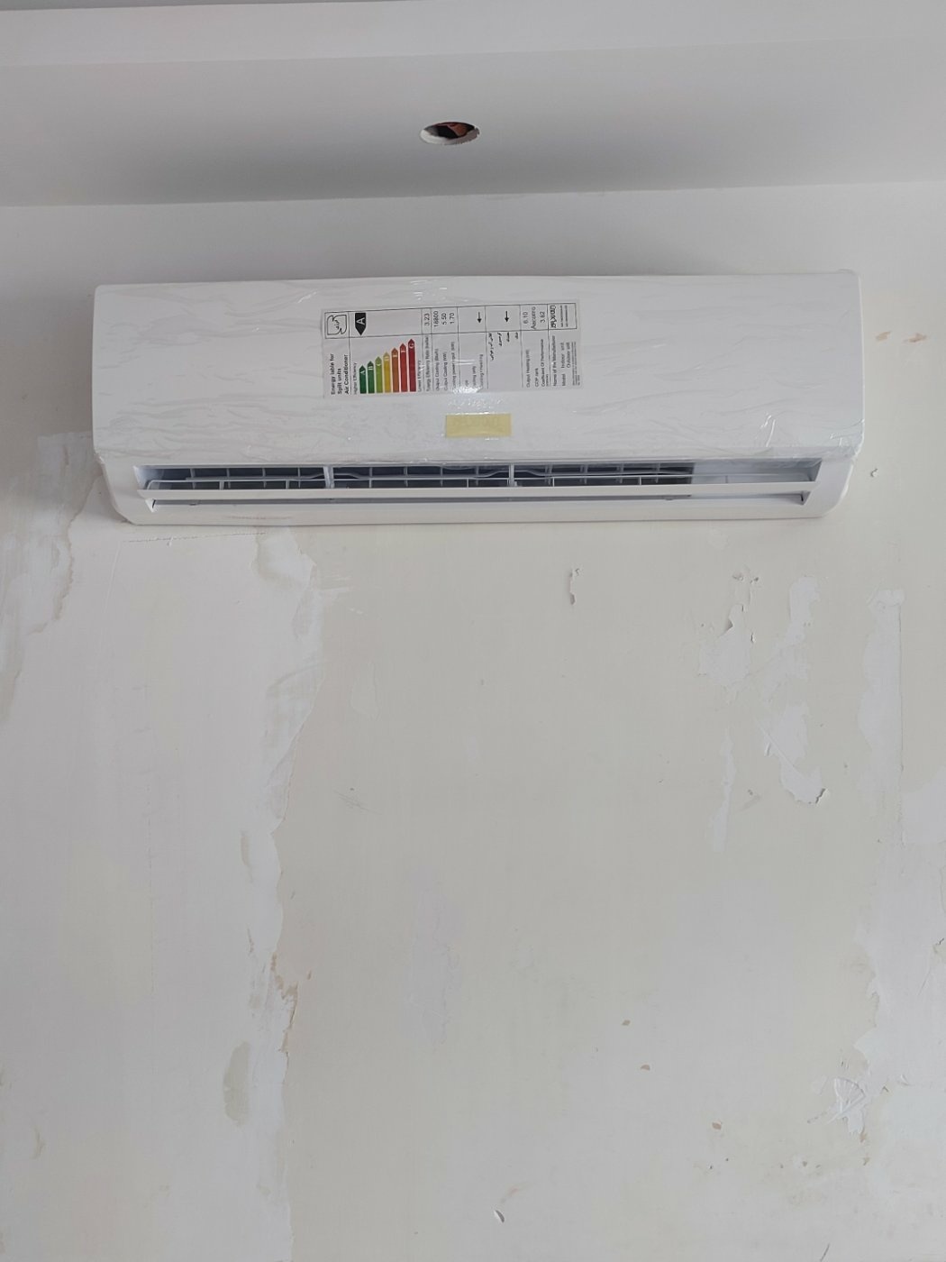 میعاد نجفی اصلی پاشاکی