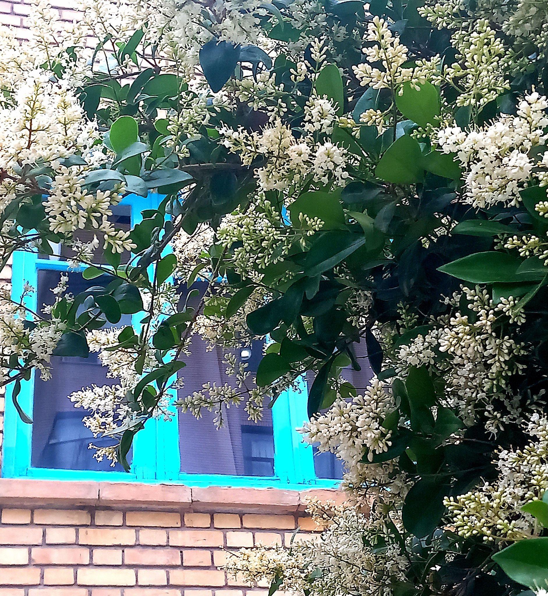 مهمانپذیر سلام تهران