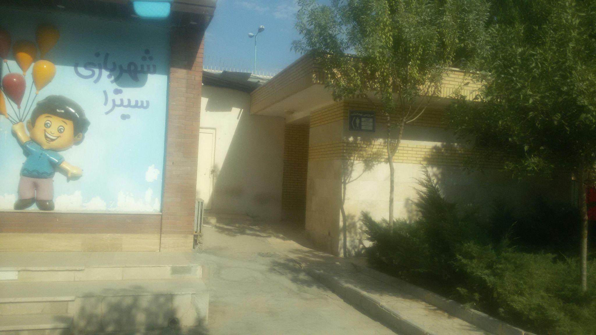 سرویس بهداشتی