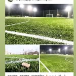 باشگاه فوتبال شاهین جوان