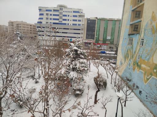 پارک لادن