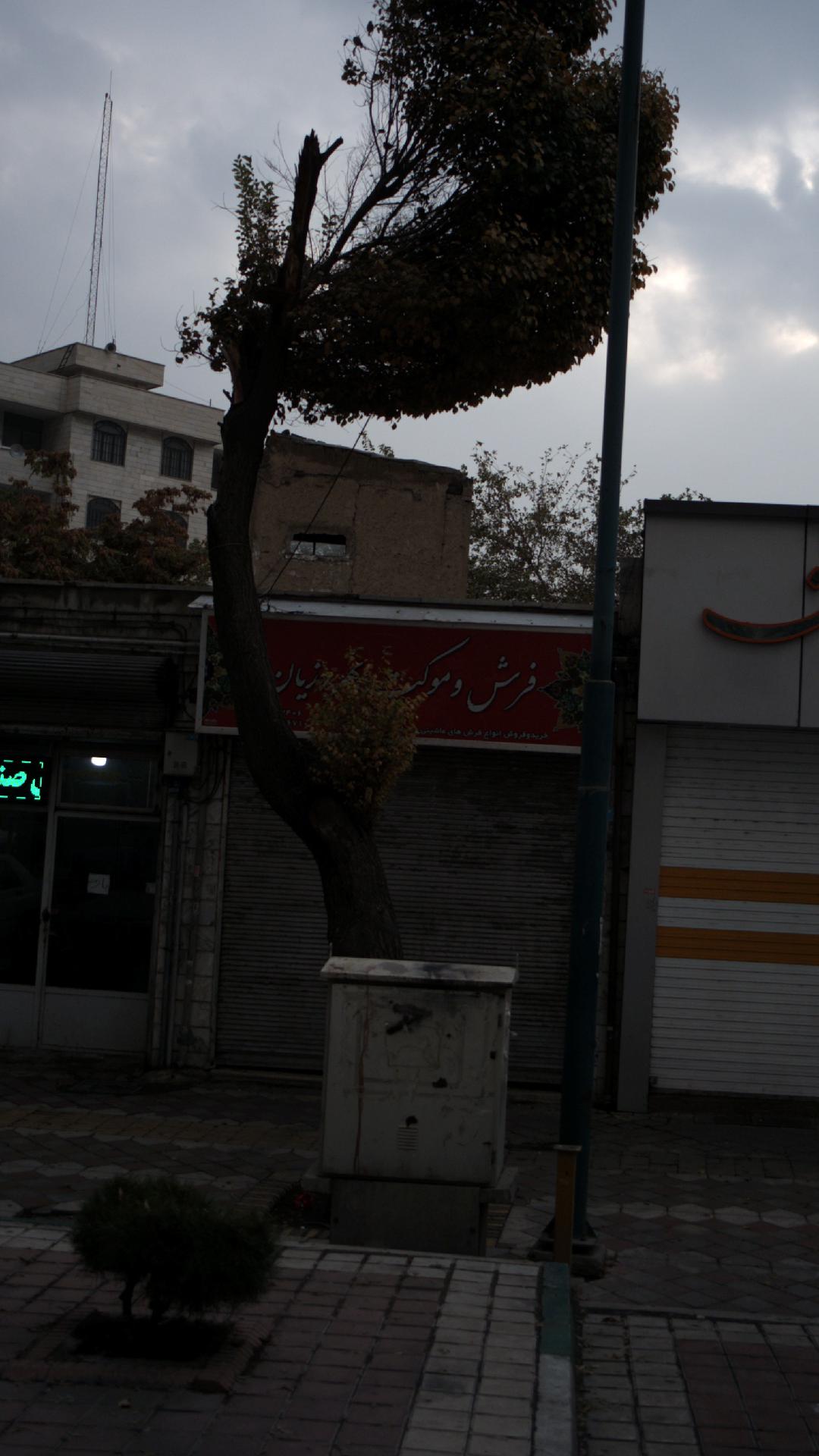 فروشگاه فرش و موکت مرادی