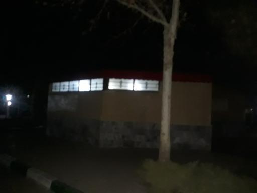 سرویس بهداشتی