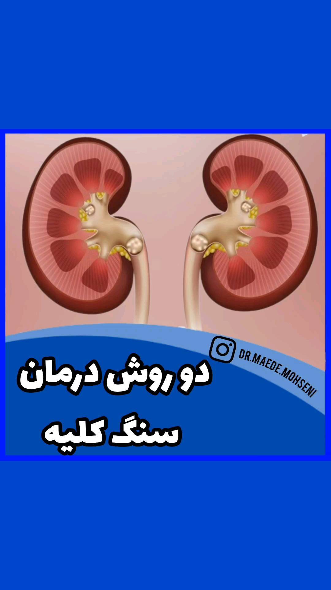 دکتر مائده محسنی