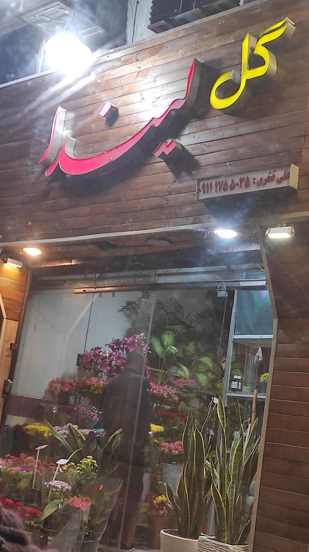 گل کاملیا
