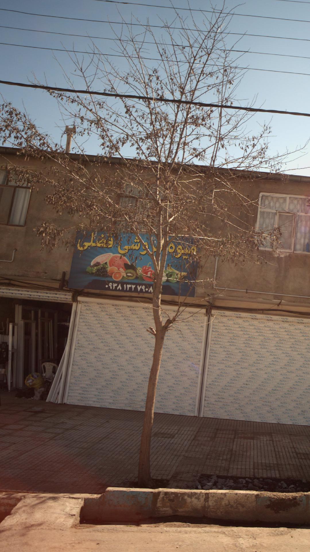 میوه و تره بار عیسی