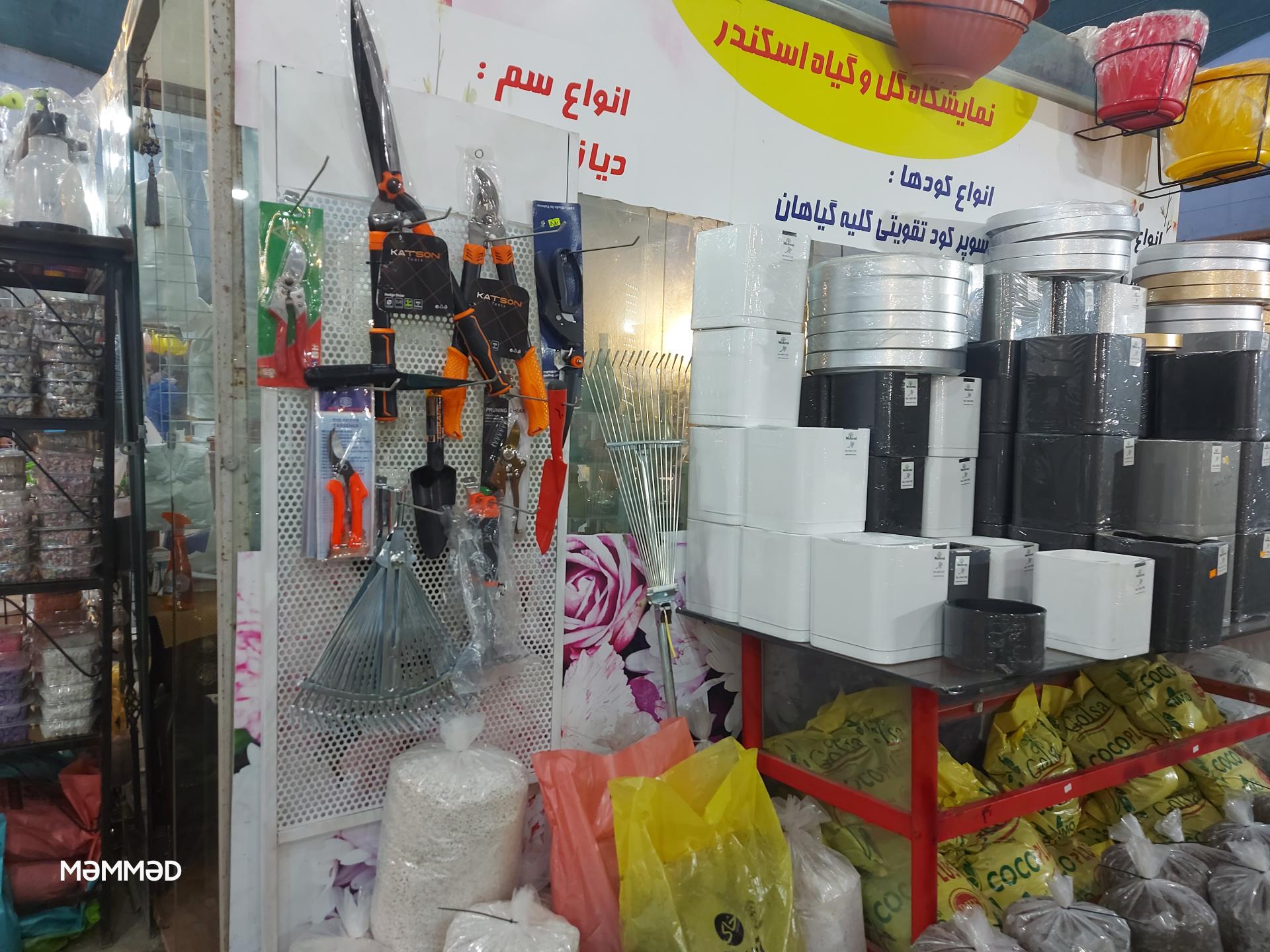 گل خانه یکصد کیشستان