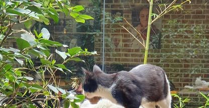 کافه حیاط هفت اقلیم