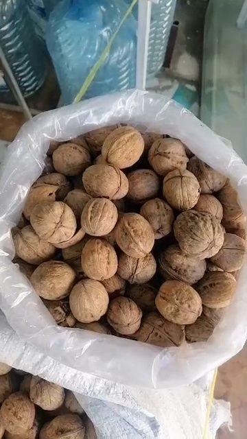 خشکبار فروشی امین