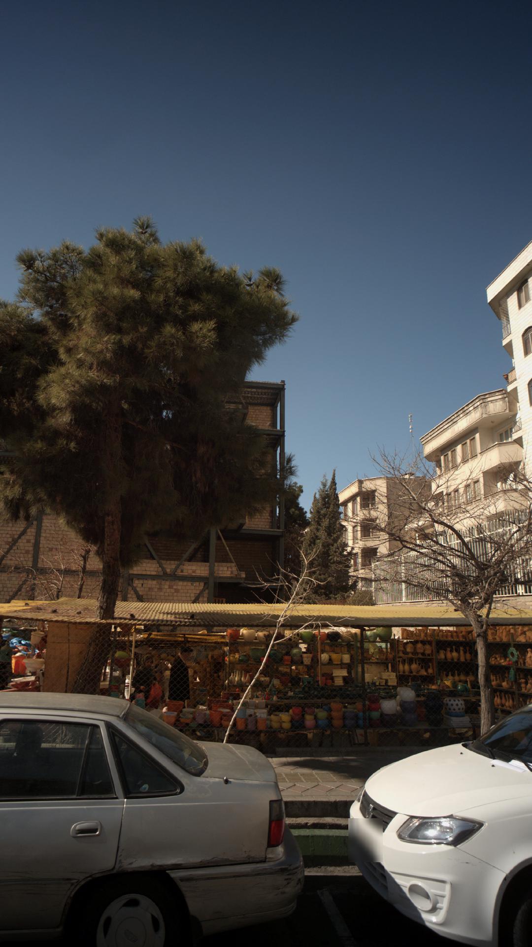 گلدان فروشی