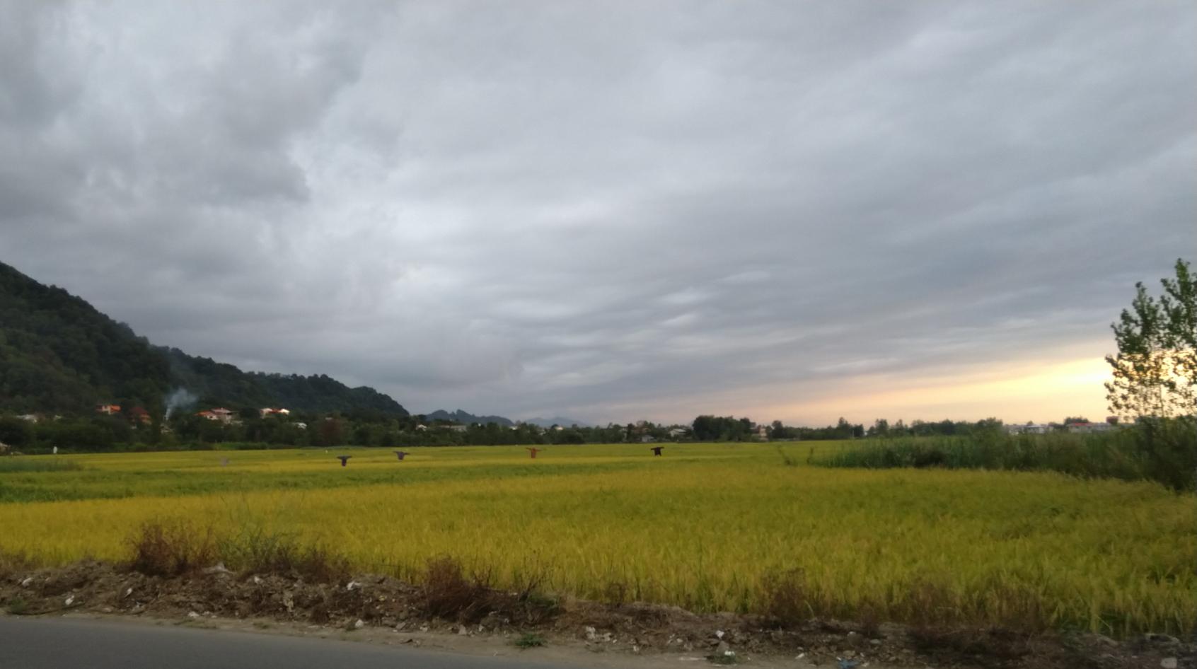 مسافر خانه داداشی