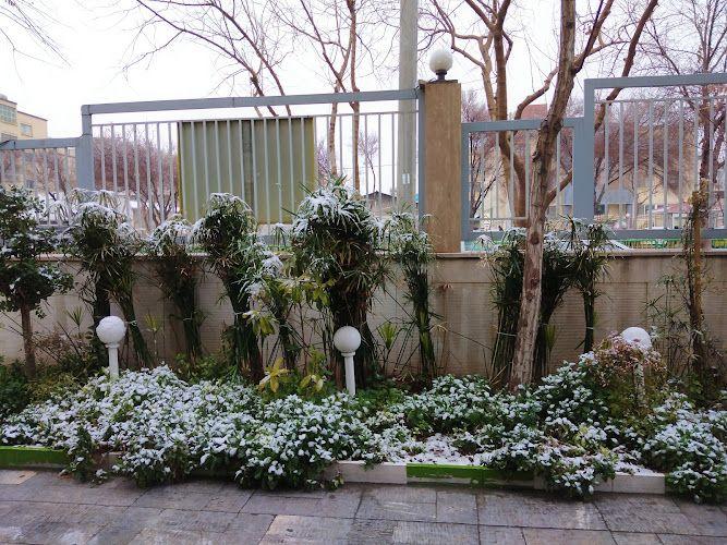 Teacher's House No 1