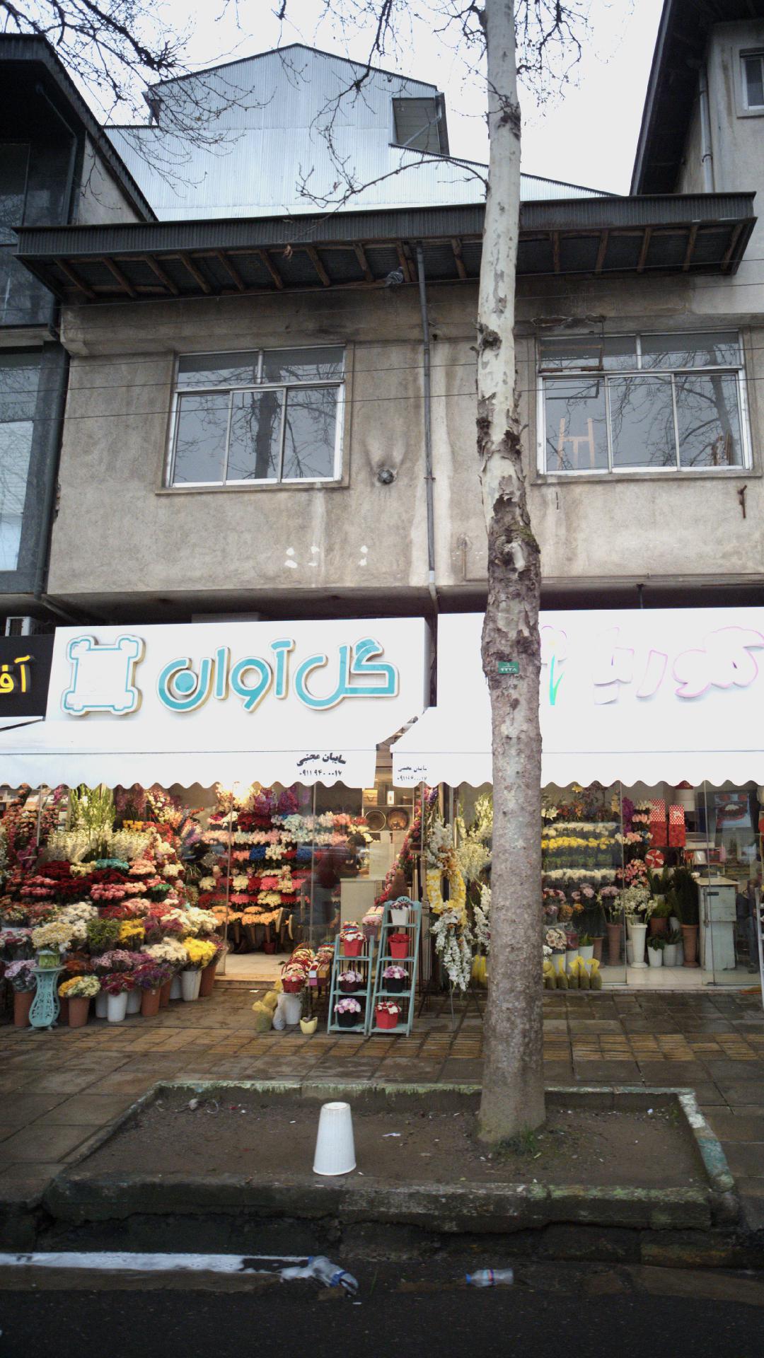 گل آوان