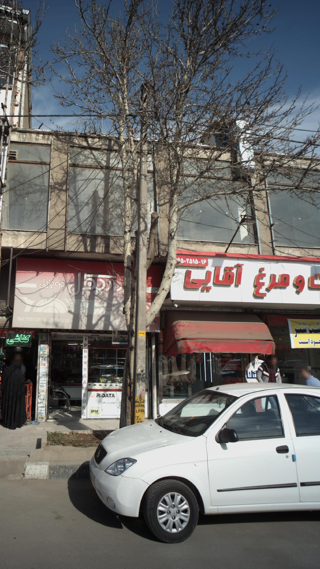 سوپر پروتئینی شیلات
