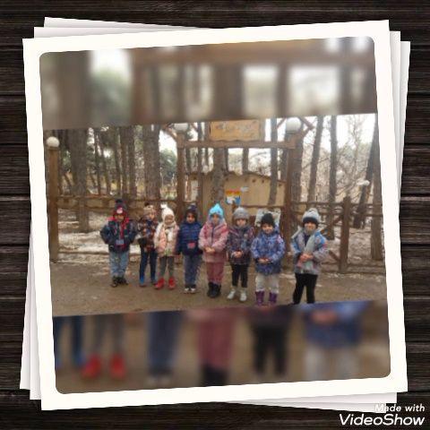 مهدکودک و پیش دبستانی چهار ستاره  شکوفه های امید