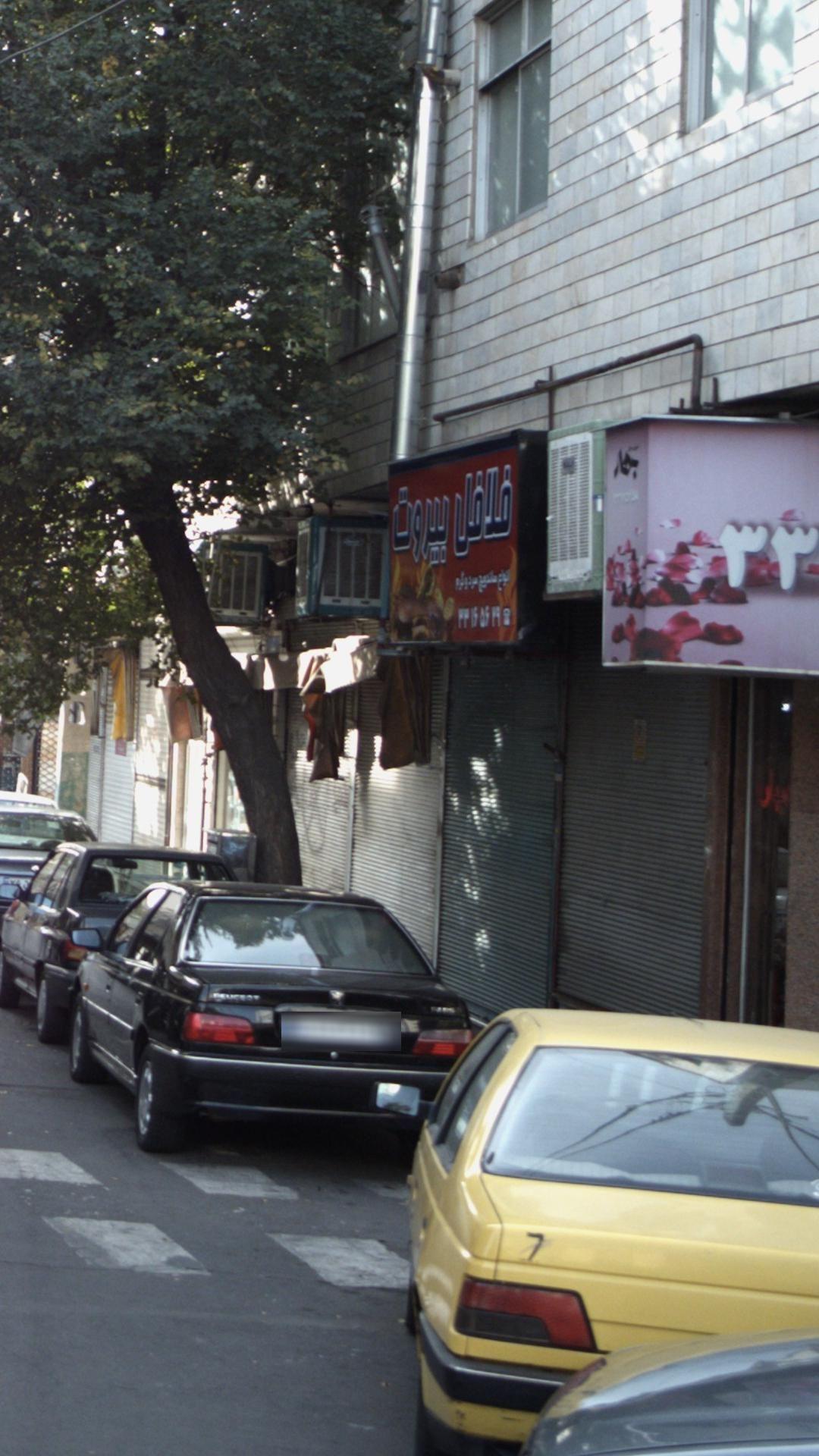 فلافل بیروت