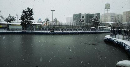 بوستان نرگس