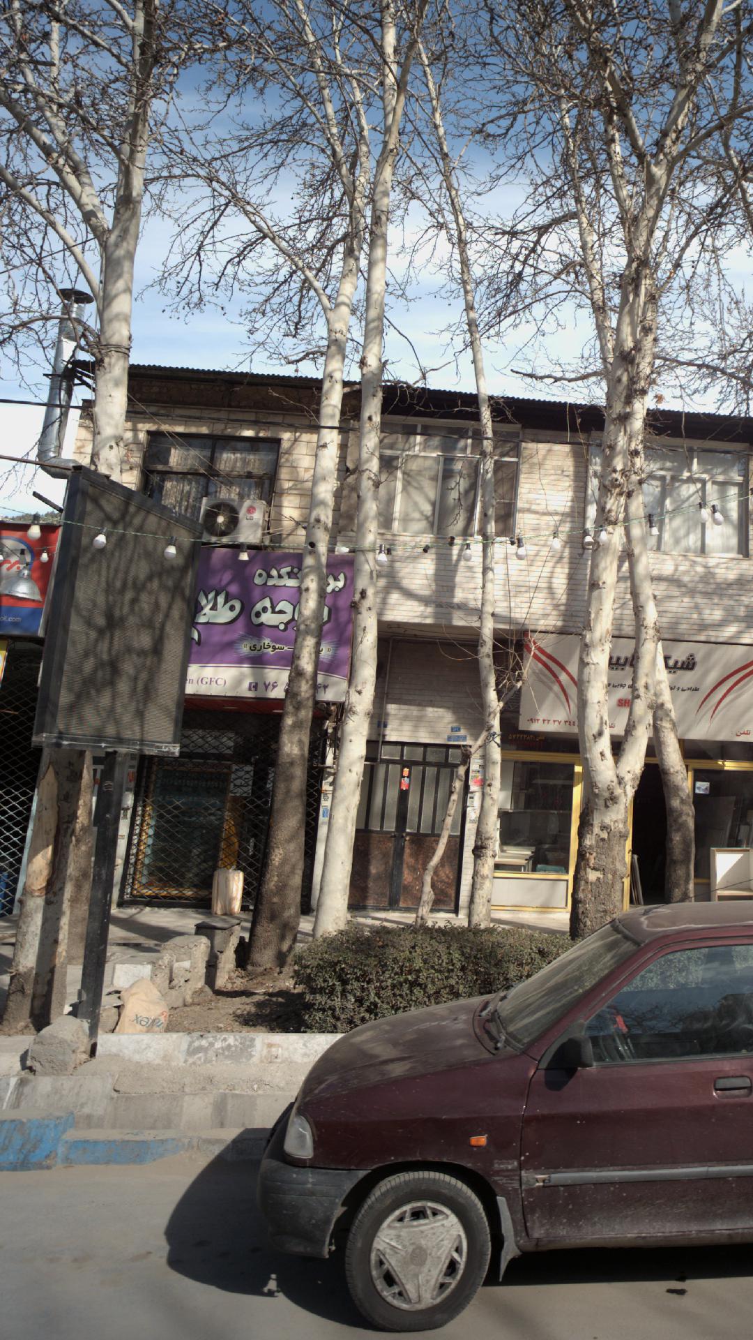 بریانکده جوجه طلایی