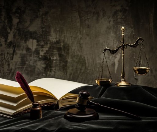 وکیل حقوقی و کیفری نرگس رادنوعی