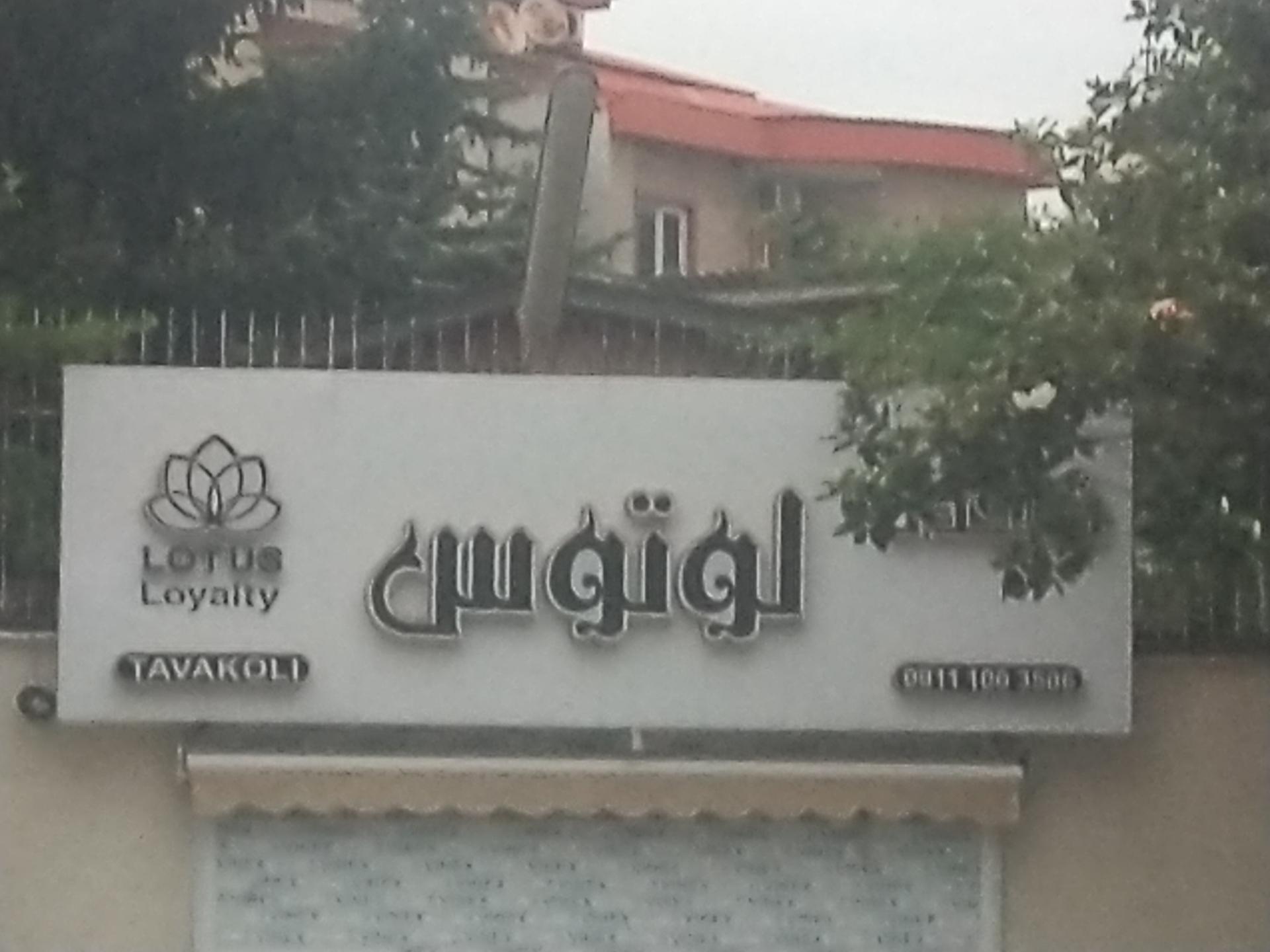 گل آذین