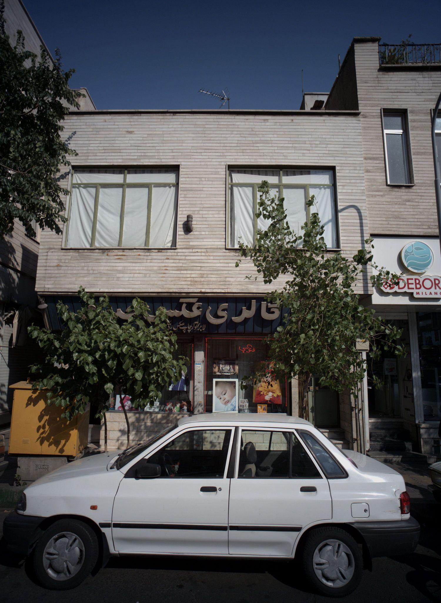 گالری عکس صدف