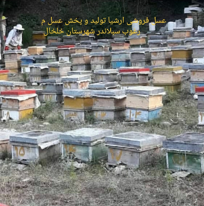 عسل فروشی ارشیا