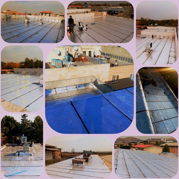 آقای ایزوگام کرج