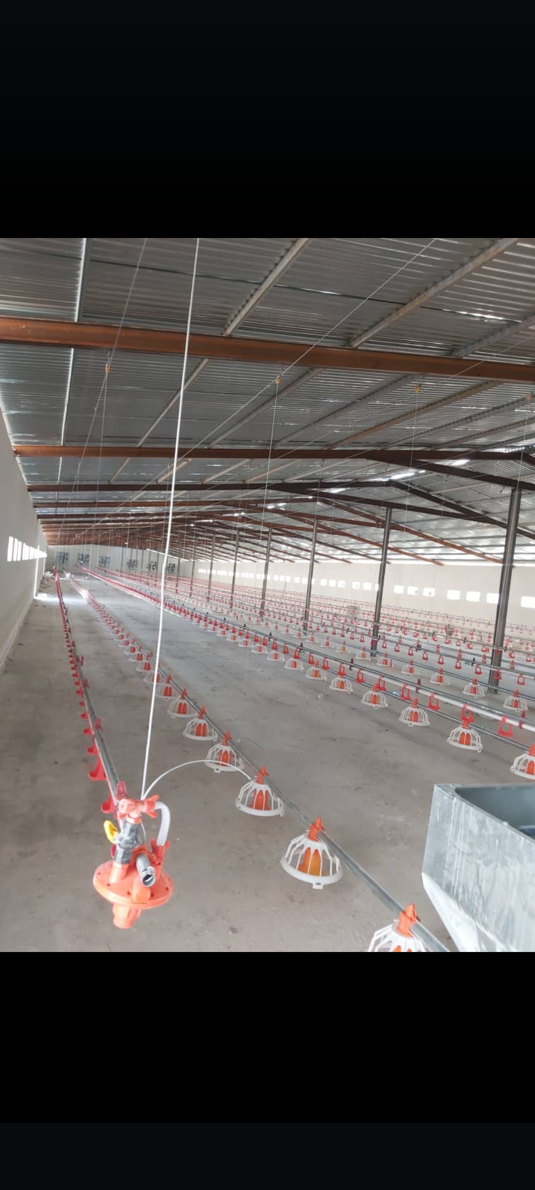 تجهیزات طیوران صنعت پرطلا