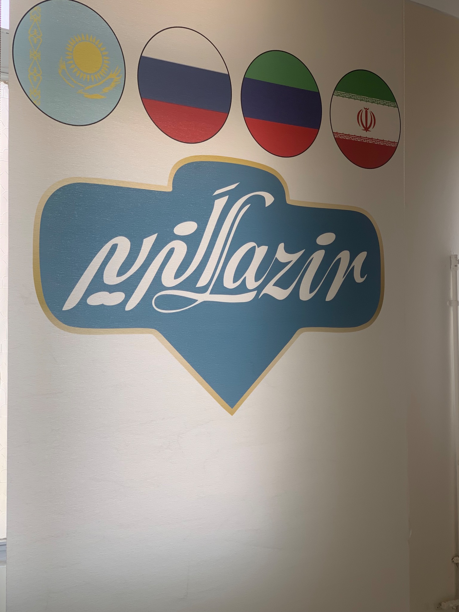 شرکت بازرگانی لزیر