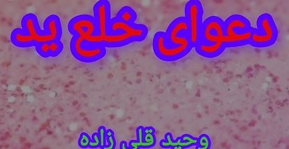 وکیل پایه یک دادگستری وحید قلی زاده