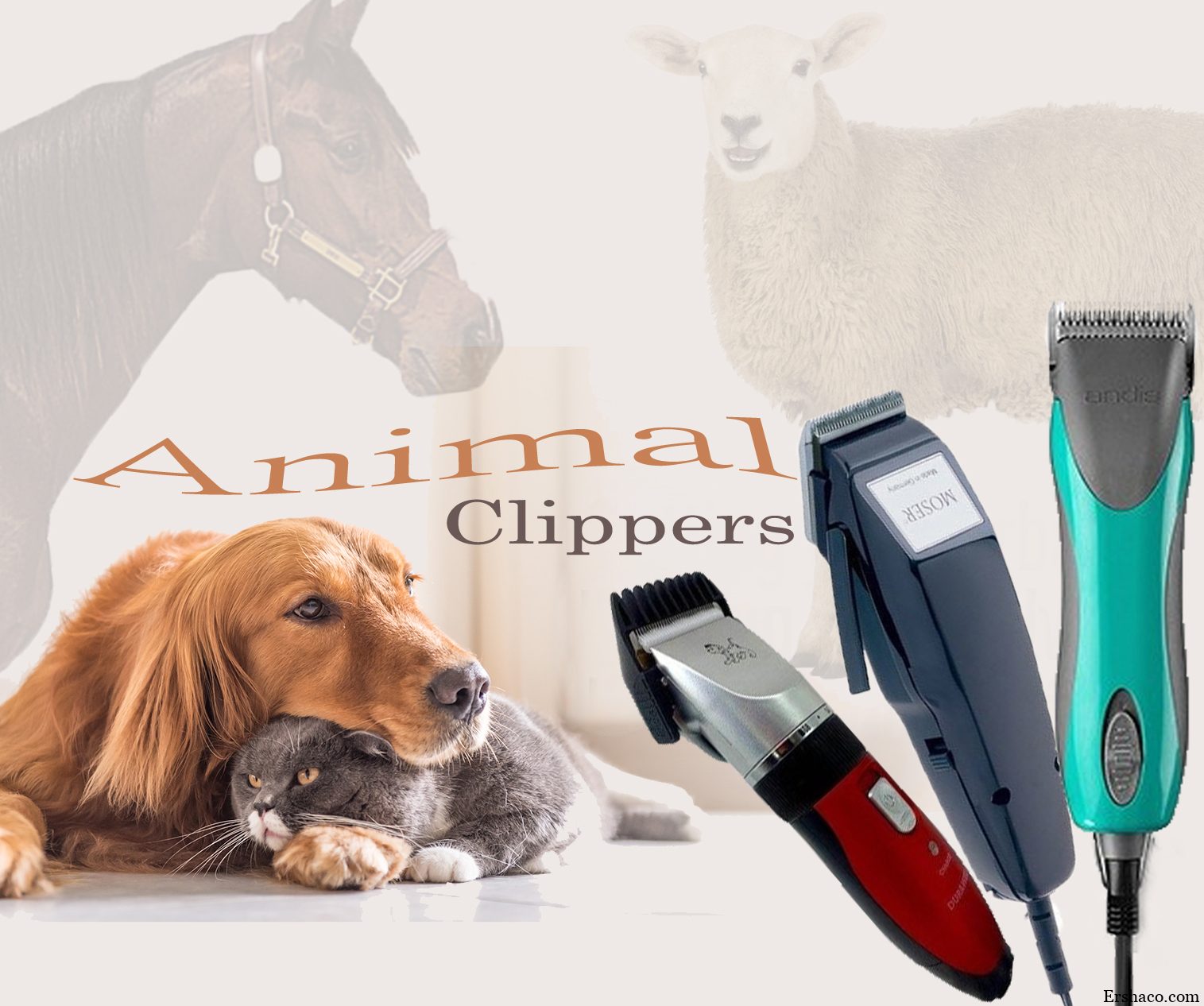 آرایشگری حیوانات سگ و گربه در منزل خاتمی