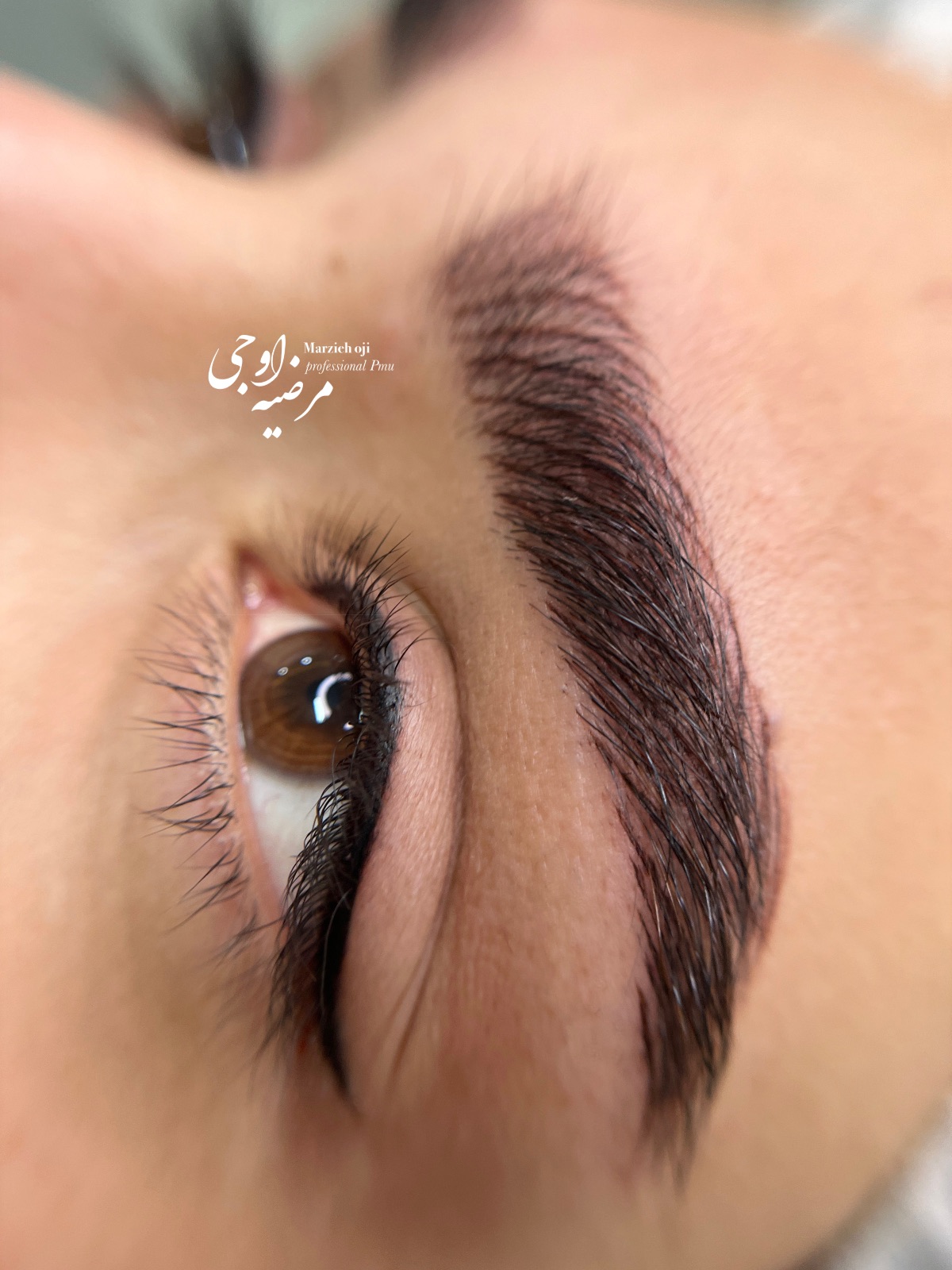 مرضیه اوجی خدمات تخصصی میکرو ابرو، شیدلب