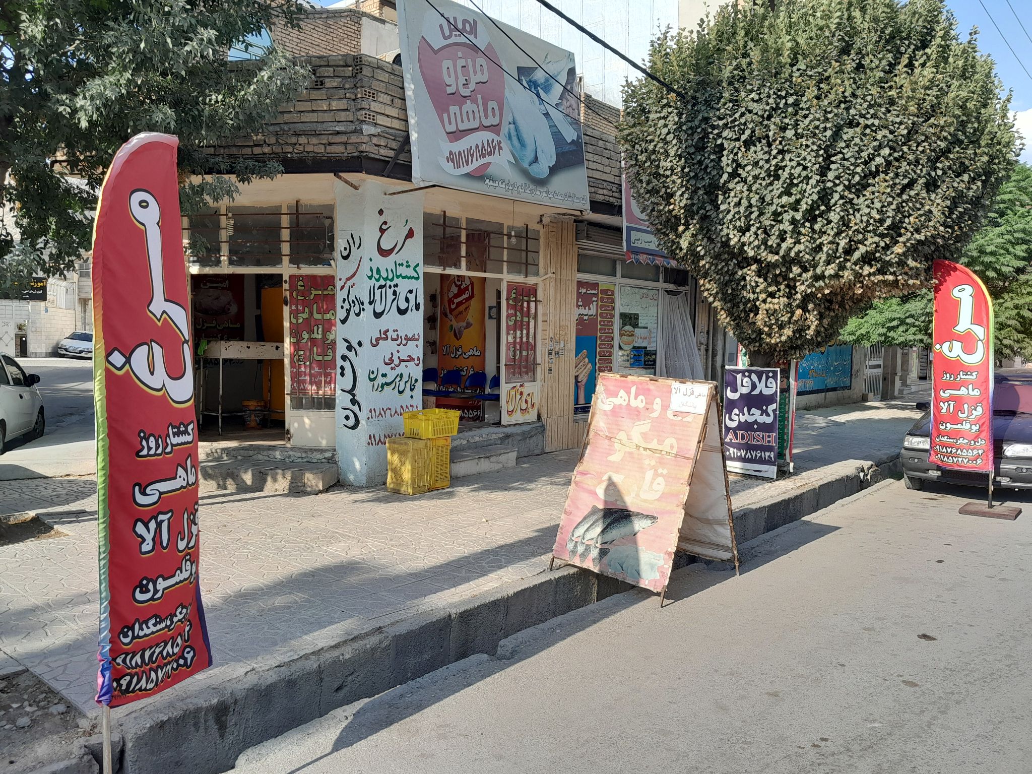 مرغ و ماهی امین