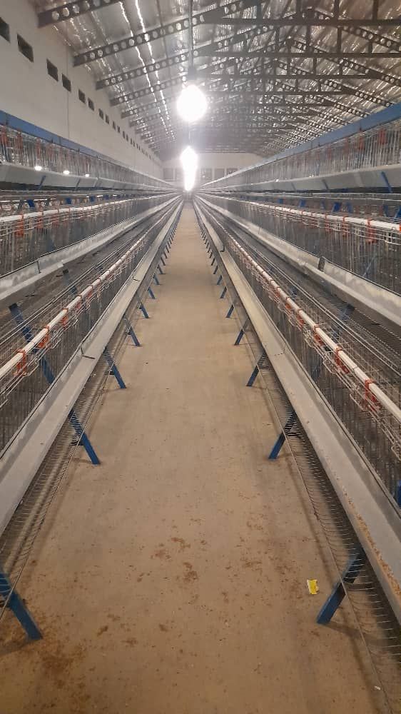 تجهیزات مرغداری و دامداری خدابنده لو