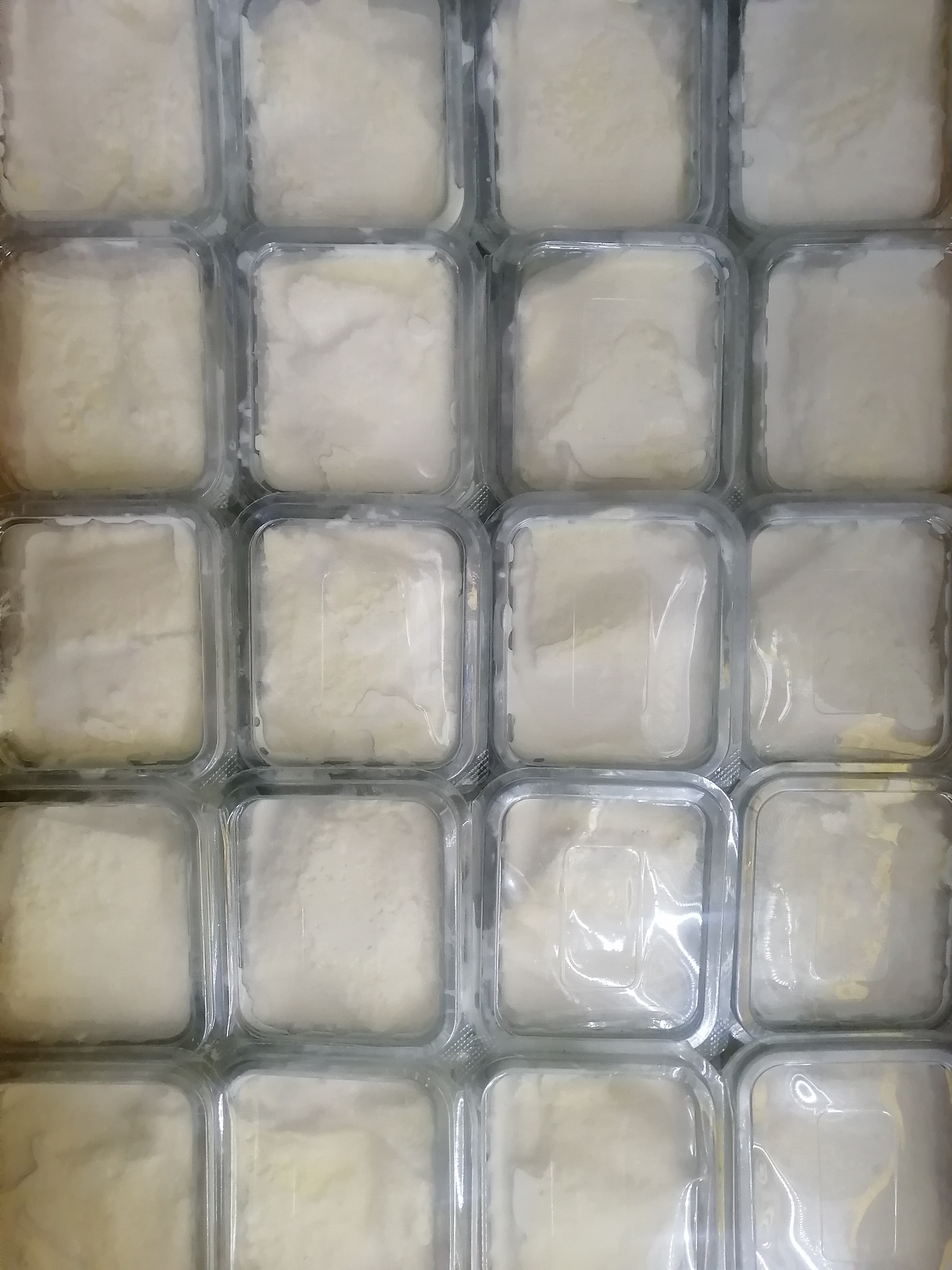 لبنیات هاشمی