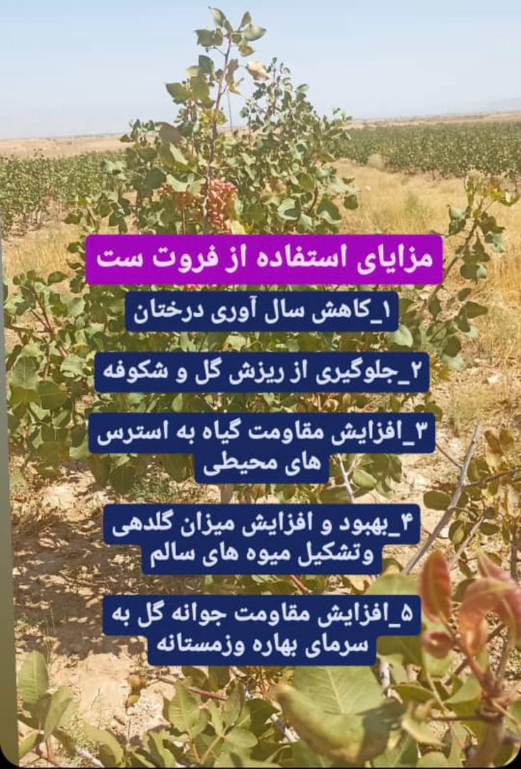 کارشناس کشاورزی  و مشاوره