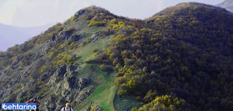 جنگل پیرداوود