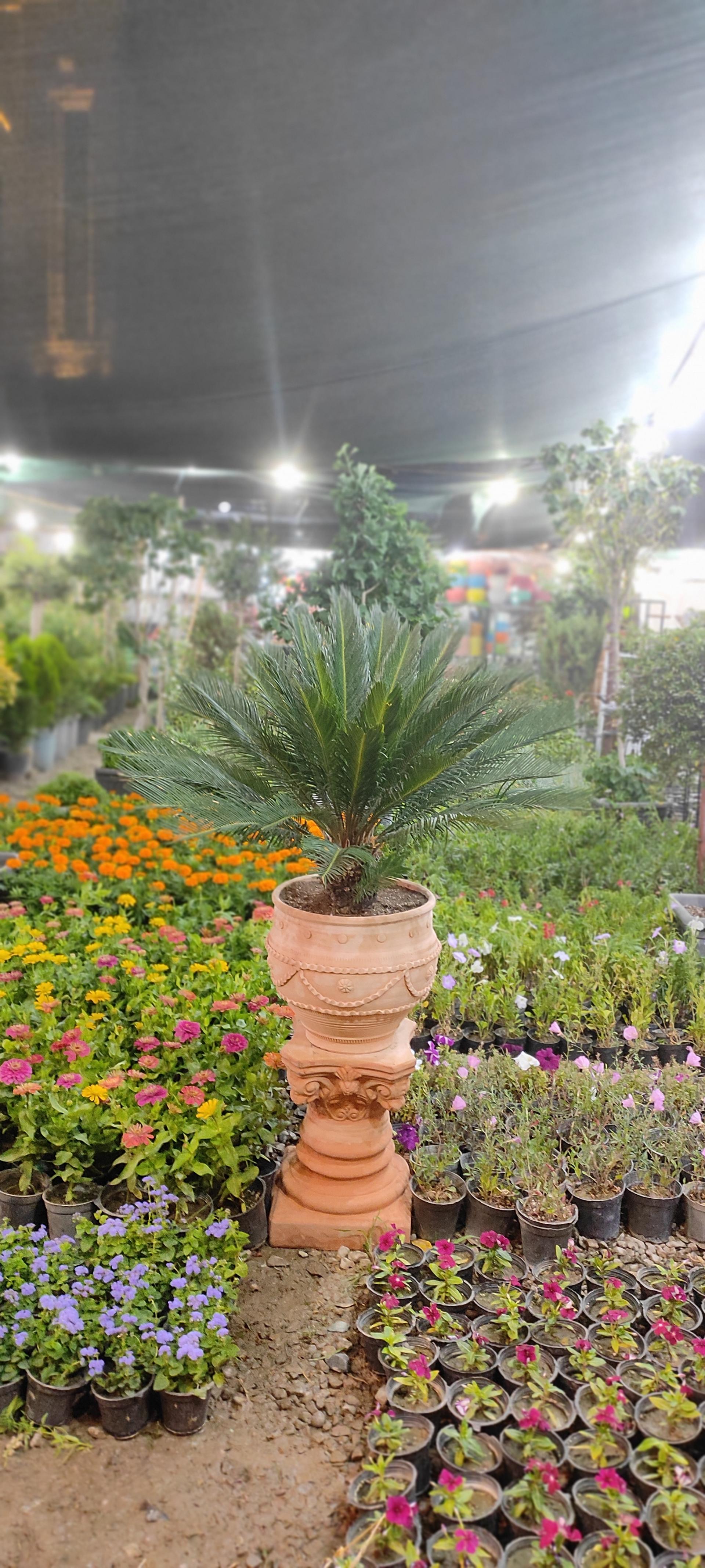 گلفروشی خاکپور
