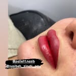 سالن زیبایی پالت بانه