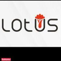 فروشگاه لوتوس