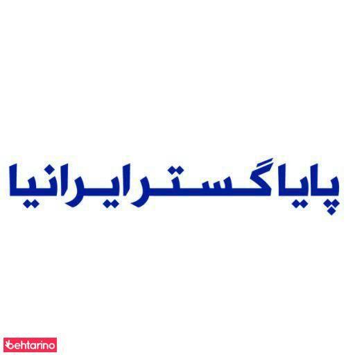 شرکت پایا گستر ایرانیا